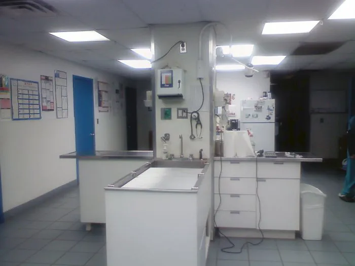 Southgate Animal Hospital 7