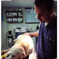 Suffolk Animal Hospital NY ico