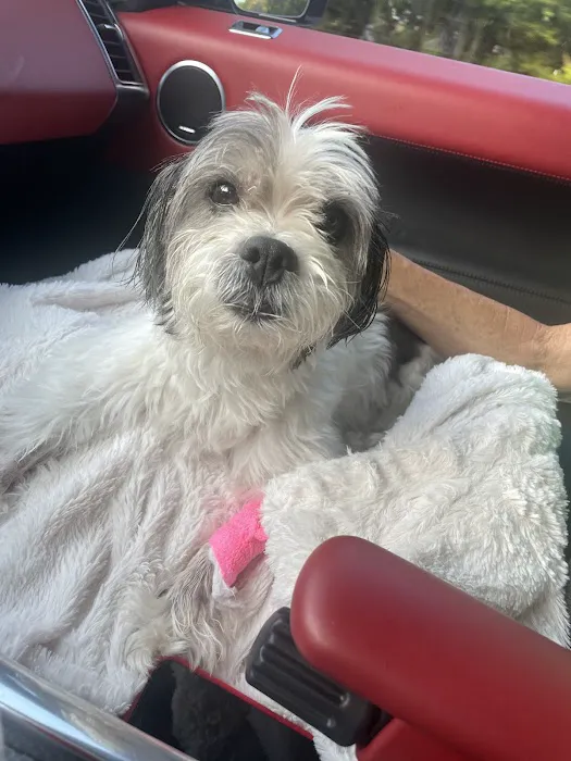 Veterinary Medical Center of Long Island 1
