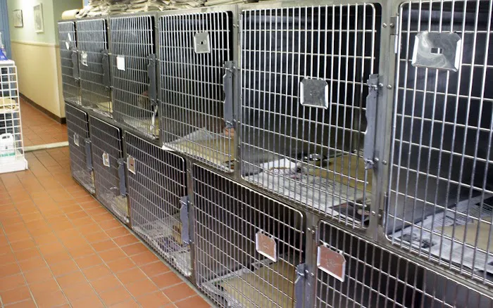 Commack Animal Hospital 9