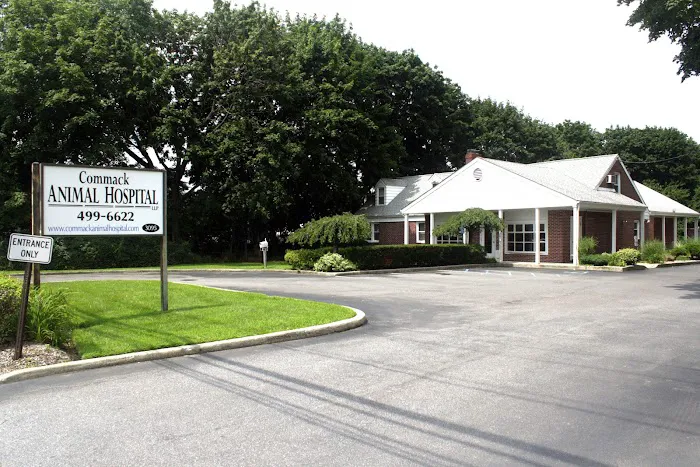 Commack Animal Hospital 7