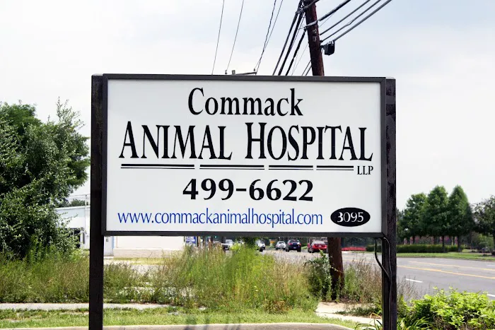 Commack Animal Hospital 8