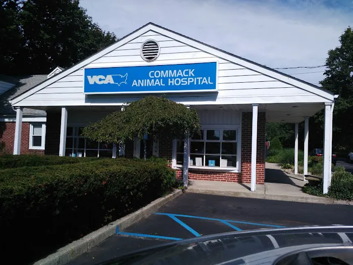 Commack Animal Hospital 1