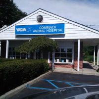Commack Animal Hospital ico