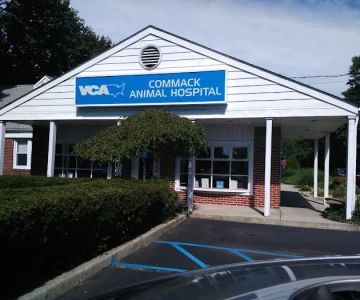 Commack Animal Hospital