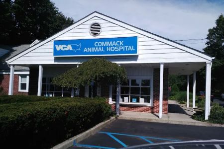 Commack Animal Hospital