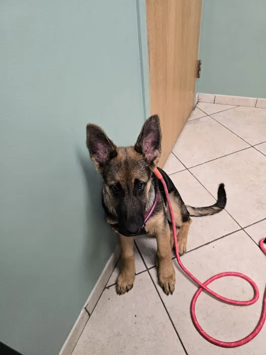 Veterinary Center of East Northport 1