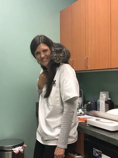 Veterinary Center of East Northport 6