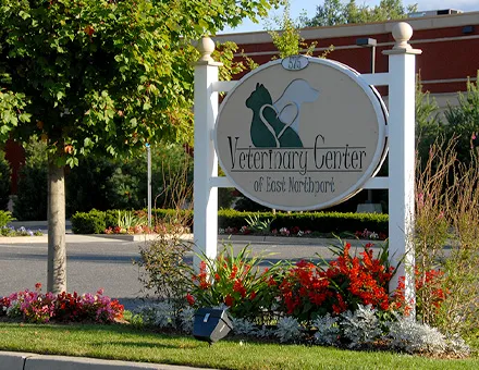Veterinary Center of East Northport 3