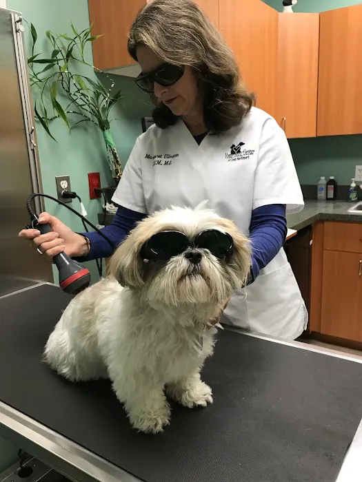 Veterinary Center of East Northport 8