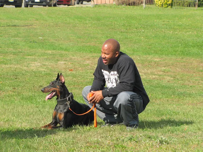 Peace Love Pets Veterinary Care, A Thrive Pet Healthcare Partner 12