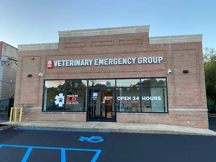 VEG ER for Pets 6