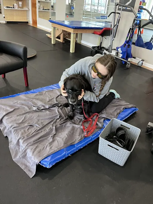 Healing Hands 4 Paws 5