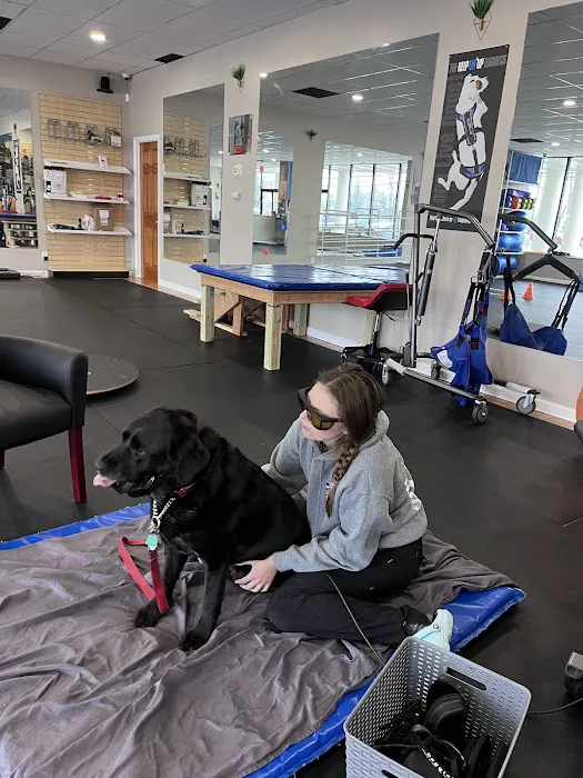 Healing Hands 4 Paws 6