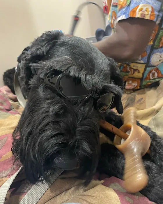 Healing Hands 4 Paws 3