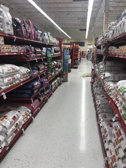 Petco 10