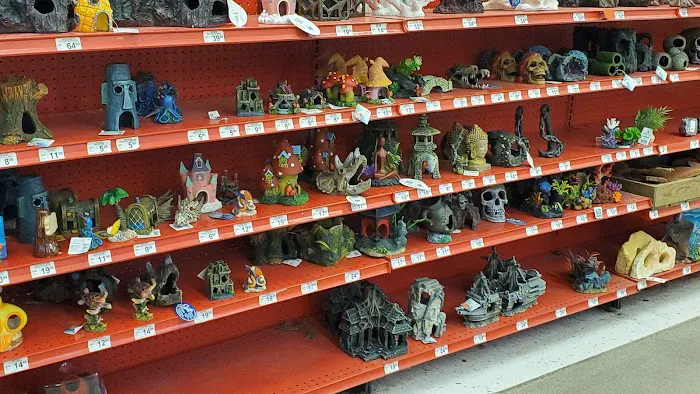 Petco 3