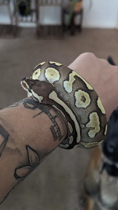 RAD Exotics Pets And Supplies 6