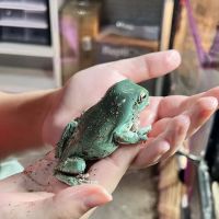 RAD Exotics Pets And Supplies ico