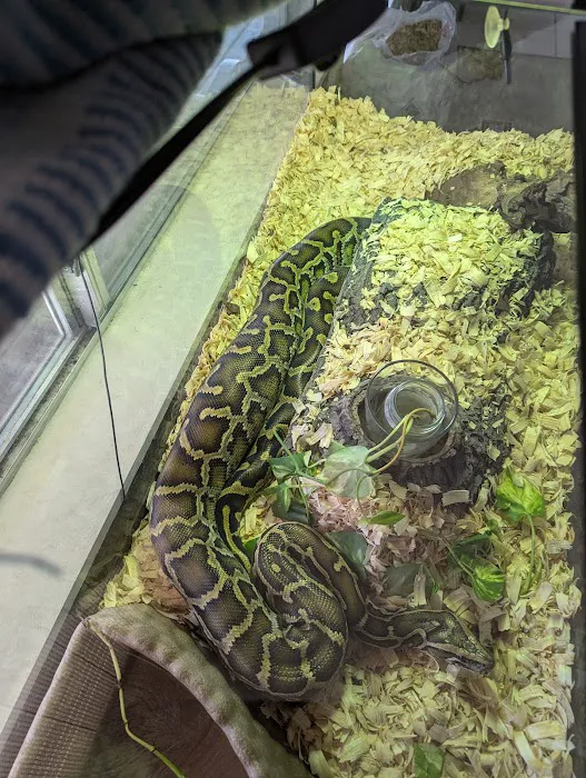 RAD Exotics Pets And Supplies 9