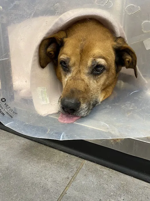 Banfield Pet Hospital 7