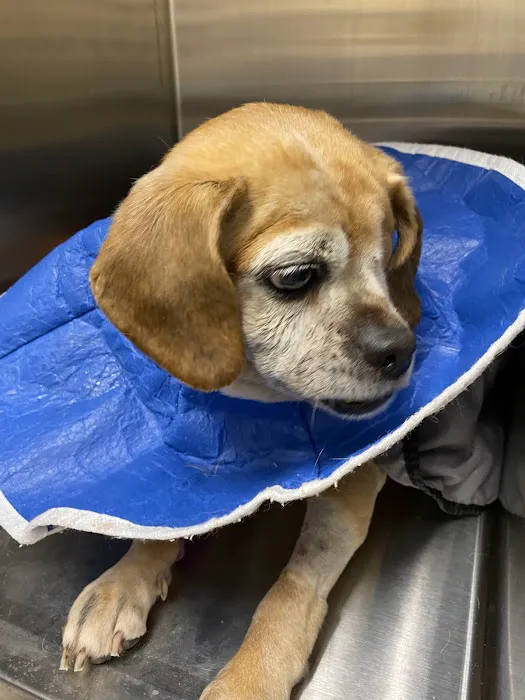 Banfield Pet Hospital 9