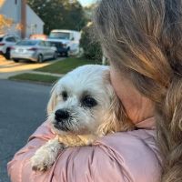 Banfield Pet Hospital ico