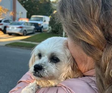 Banfield Pet Hospital
