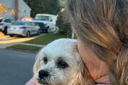 Banfield Pet Hospital