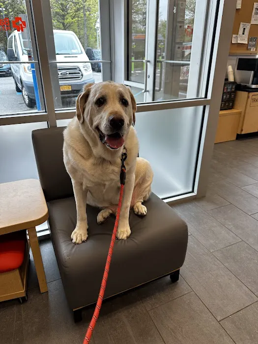 Banfield Pet Hospital 6