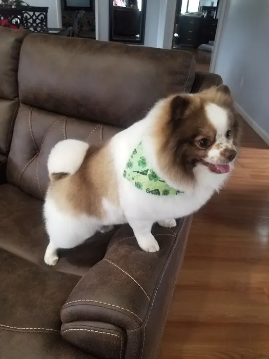 Banfield Pet Hospital 8