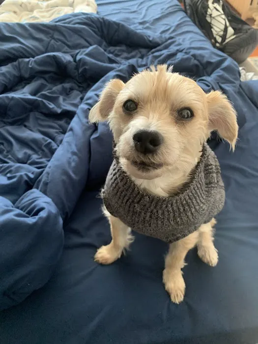 Banfield Pet Hospital 4