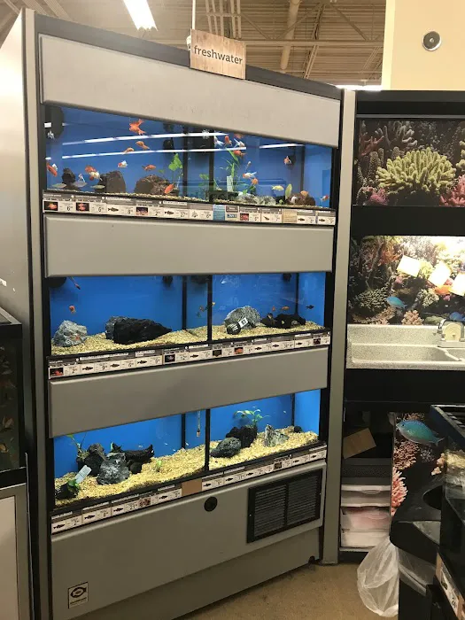 Petco 8