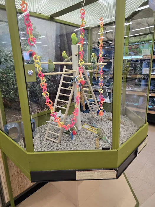 Petco 4