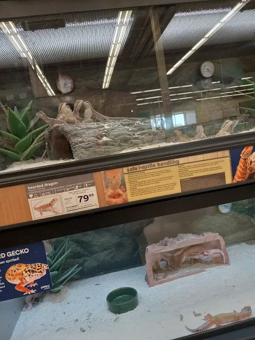 Petco 5