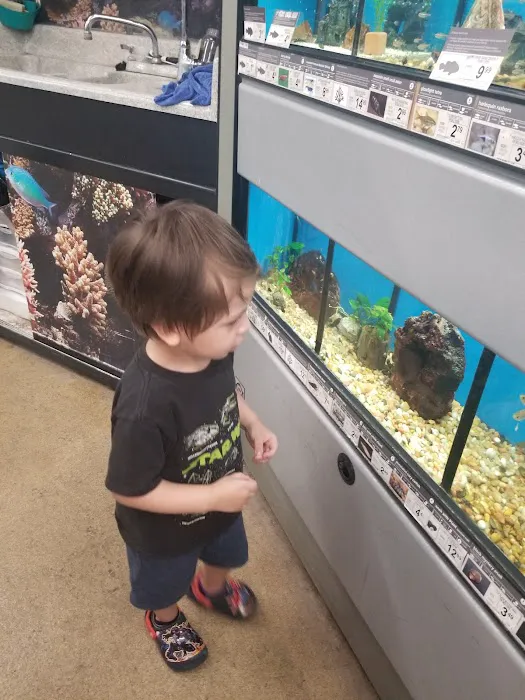 Petco 9