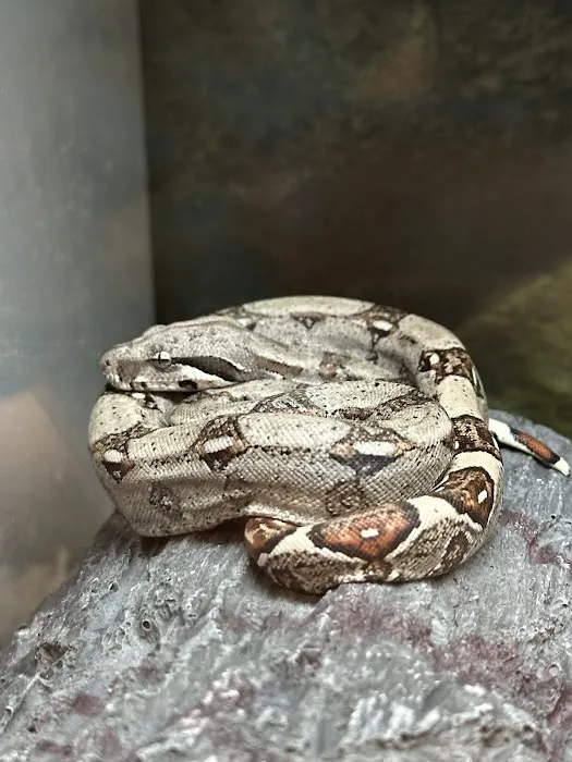 Petco 7