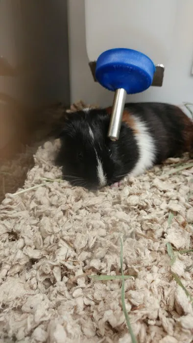 Petco 1