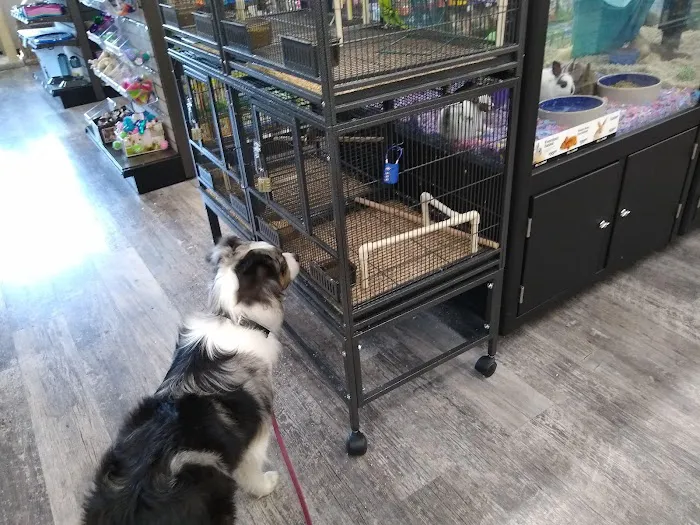 Pet Supermarket 2