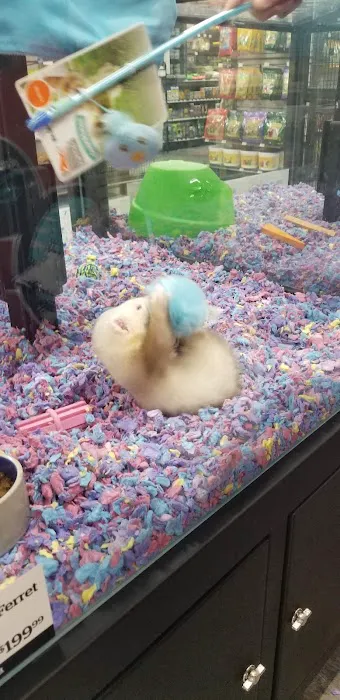 Pet Supermarket 1