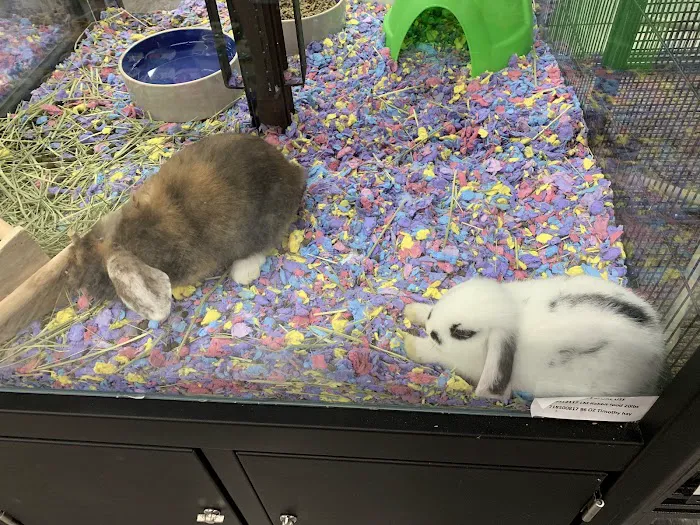 Pet Supermarket 3