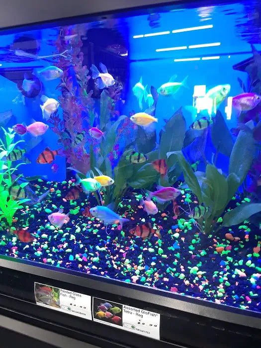 Pet Supermarket 10