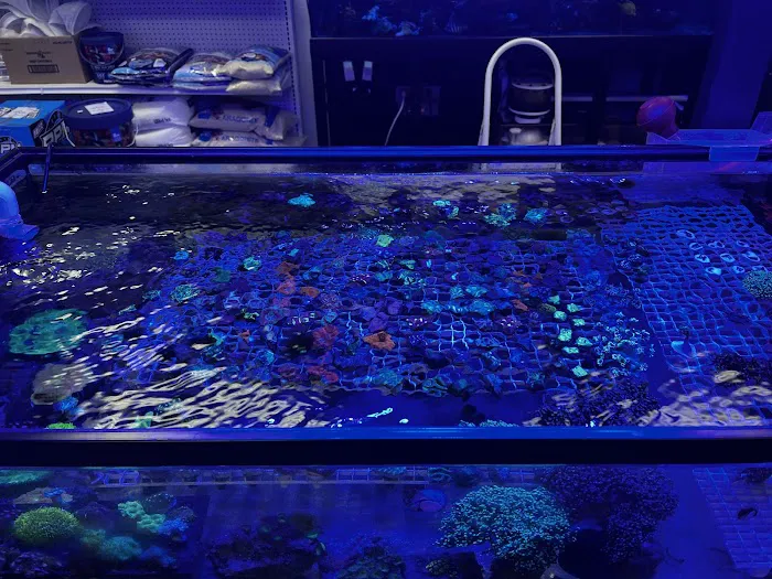 Fish Next Door and Co LLC 1
