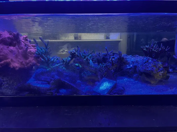 Fish Next Door and Co LLC 5