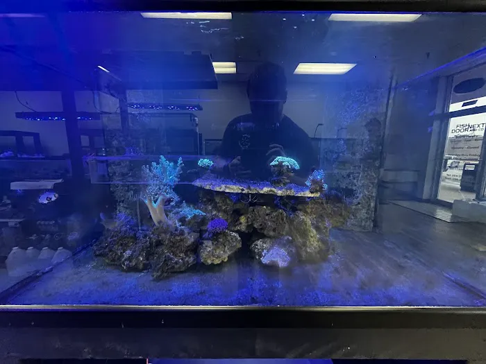 Fish Next Door and Co LLC 6