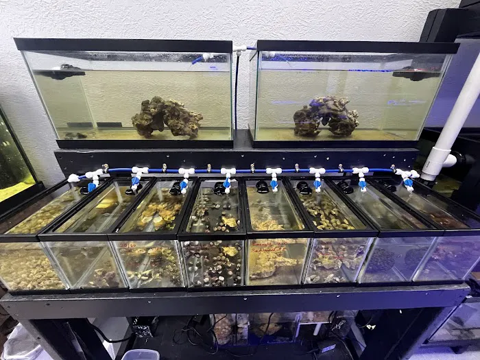 Fish Next Door and Co LLC 2