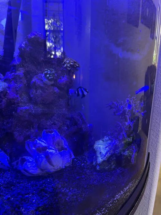 Fish Next Door and Co LLC 8