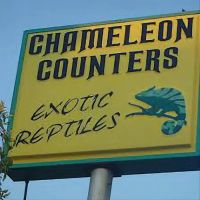 Chameleon Counters ico