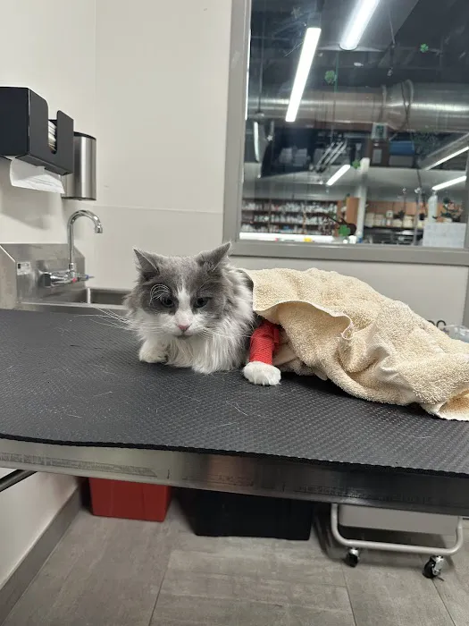Veterinary Emergency Group 12