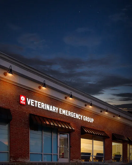 Veterinary Emergency Group 12